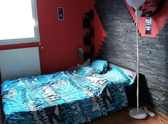 Chambre Dans Appartement Saint Martin D\'Heres Pres Du Campus, Uga Et Neyrpic